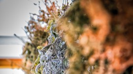 Q7 – Aus- und Weiterbildung entlang der Wertschöpfungskette