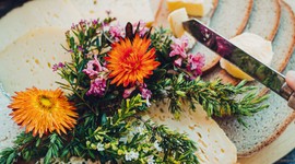 Q8 – Nationale und internationale Vernetzung von Partnern und Regionen