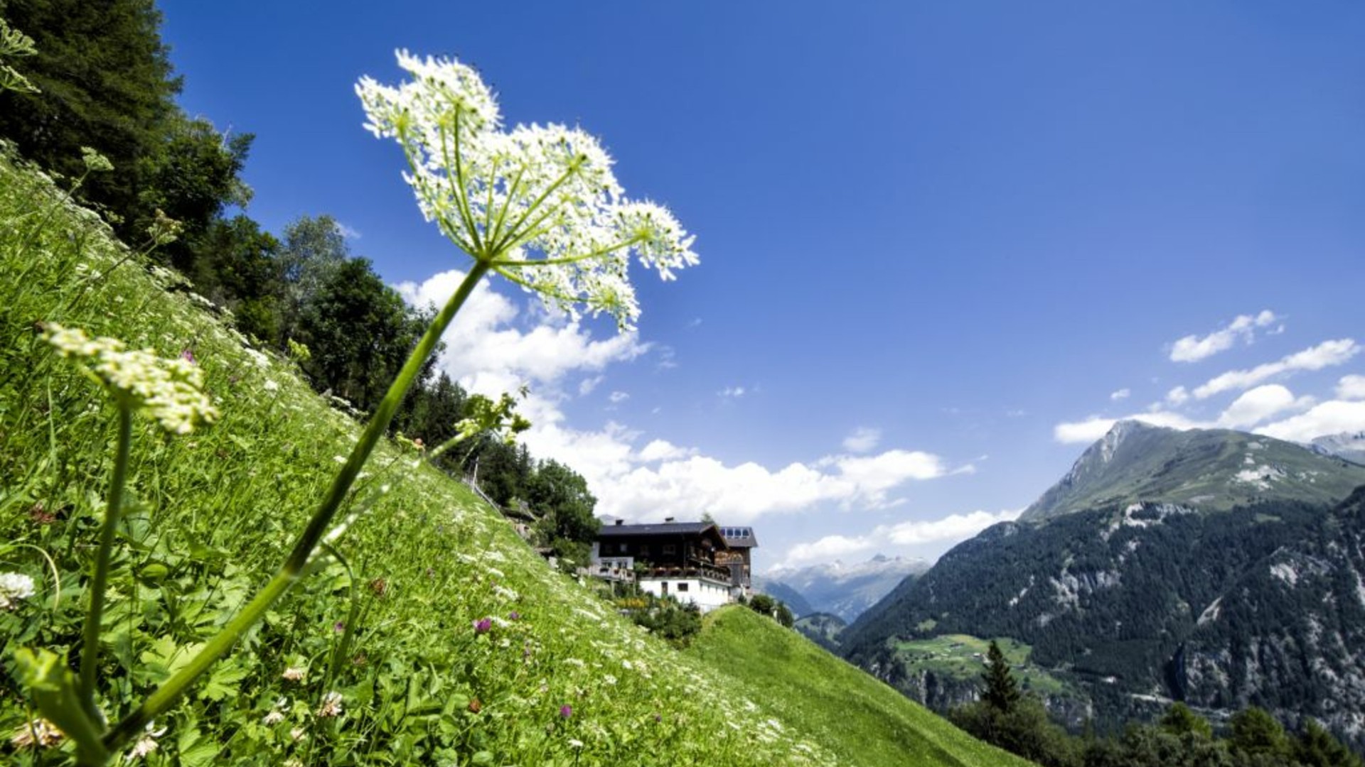 Idylle pur am Strumerhof in Osttirol | © Strumerhof Idylle pur am Strumerhof in Osttirol