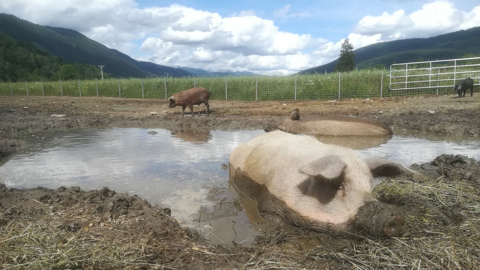 So lässt sichs leben … So lässt sichs leben …