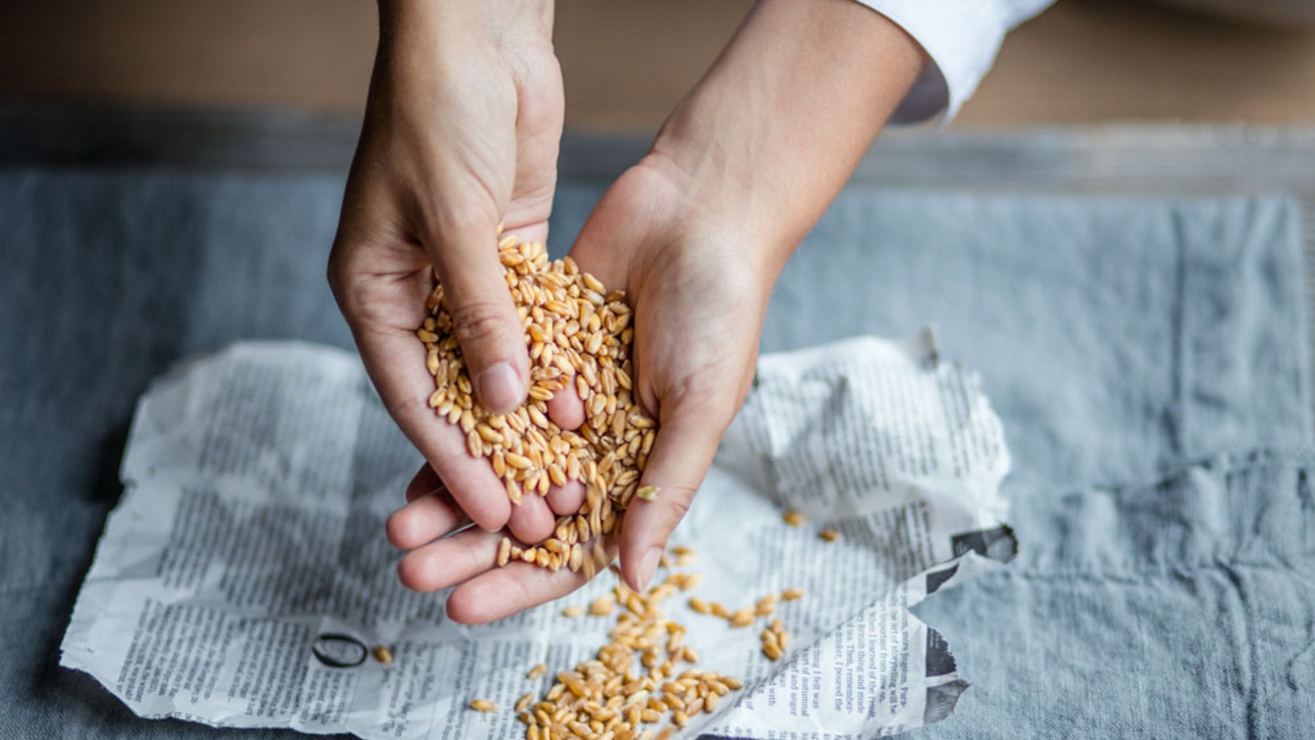 © Leonardo Mariani Castello del Sole – Farm to Table de Luxe