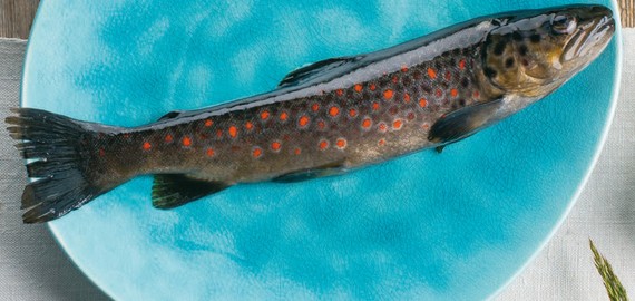 Die Alpine Küche ist ein Überbegriff für das vielfältige kulinarische Erbe im Alpenraum.